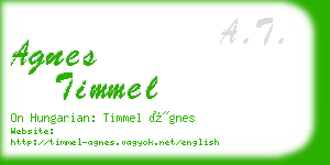 agnes timmel business card